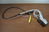 Philips T6210 31369A Tee-Probe Ultrasound Transducer (Untested)