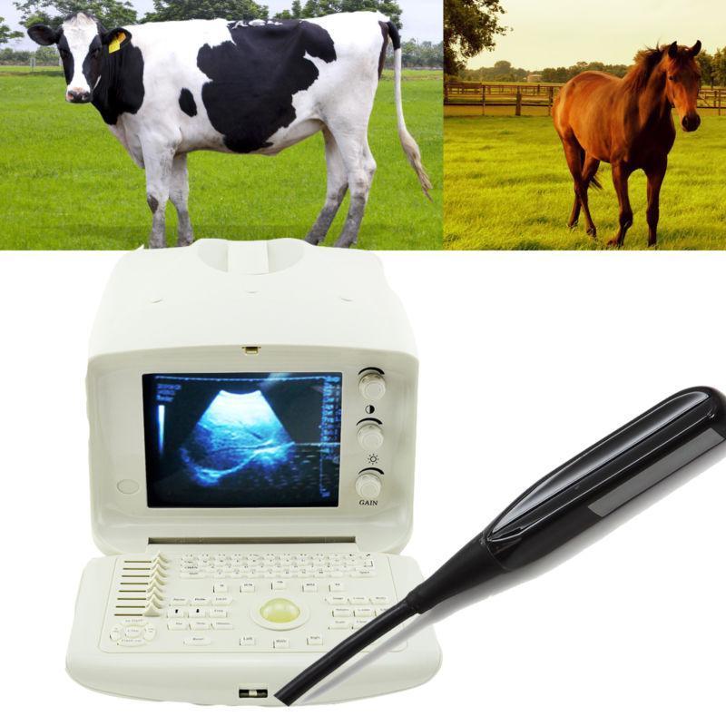 Veterianry Ultrasound Scanner Machine with VET Rectal Probe Caw horse 3D Free 190891435484 DIAGNOSTIC ULTRASOUND MACHINES FOR SALE