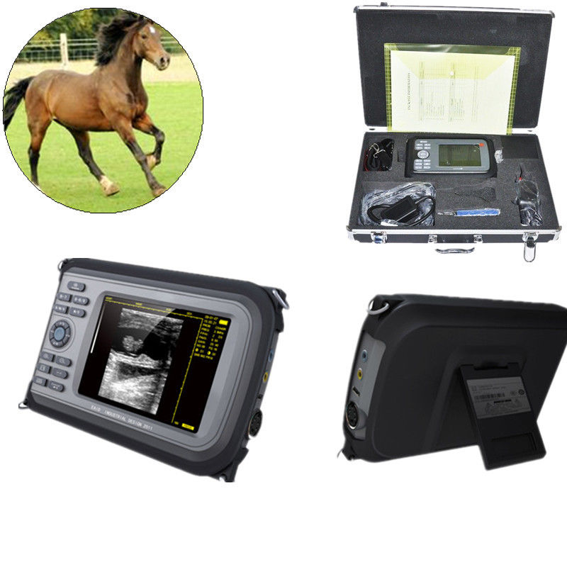 New Handscan 5.5'' Color Digital PalmSmart Ultrasound Scanner Scan Rectal Probe 190891827913 DIAGNOSTIC ULTRASOUND MACHINES FOR SALE