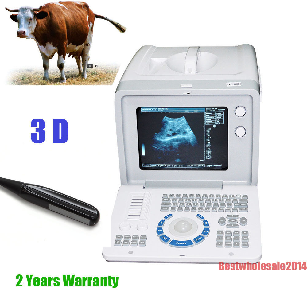 Veterianary B&W Portable Ultrasound/Diagnostic Machine + Rectal Probe Animal 3D 190891208774 DIAGNOSTIC ULTRASOUND MACHINES FOR SALE