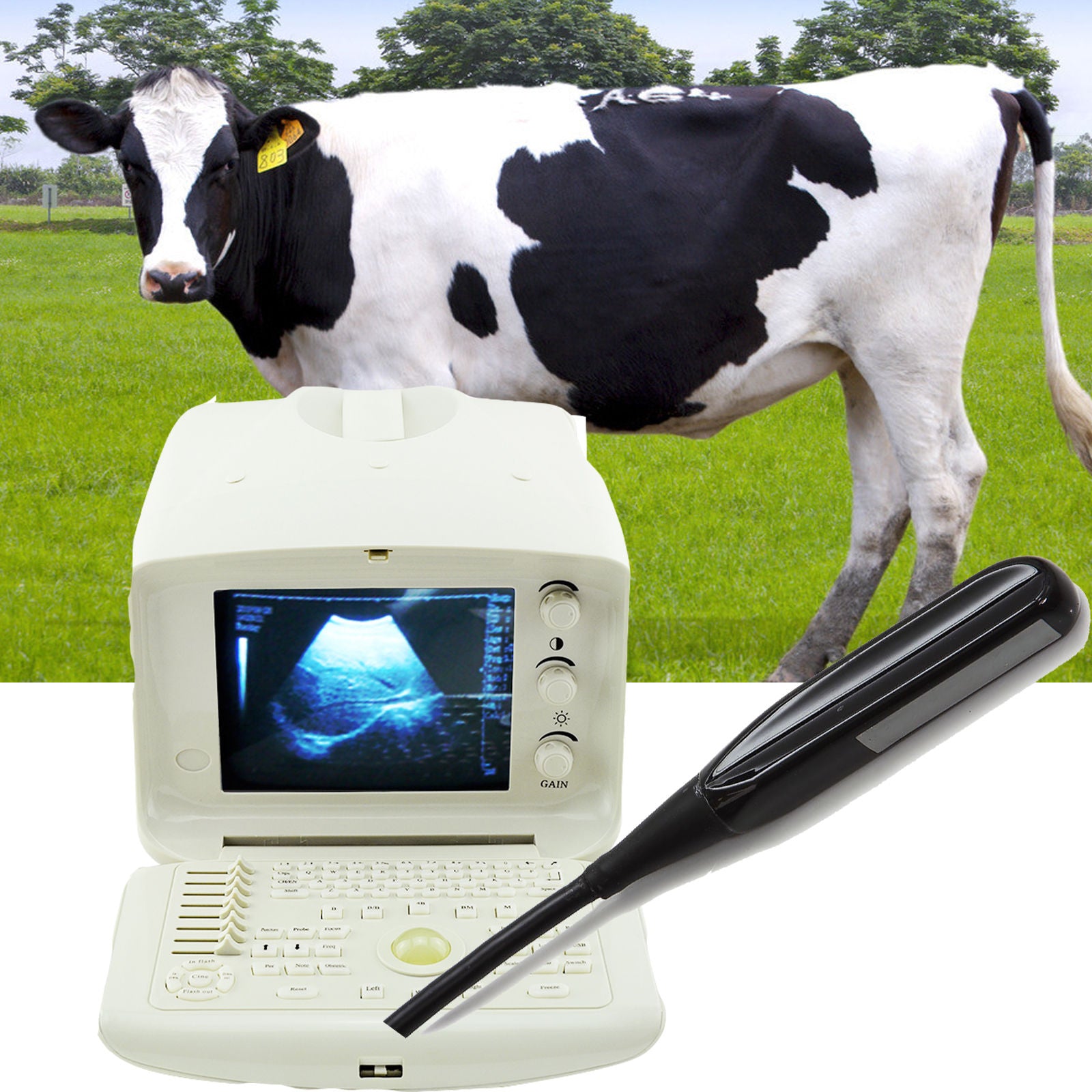Portable Veterianry Animal Ultrasound Scanner machine  6.5Mhz Rectal Probe 3D CE 190891582799 DIAGNOSTIC ULTRASOUND MACHINES FOR SALE