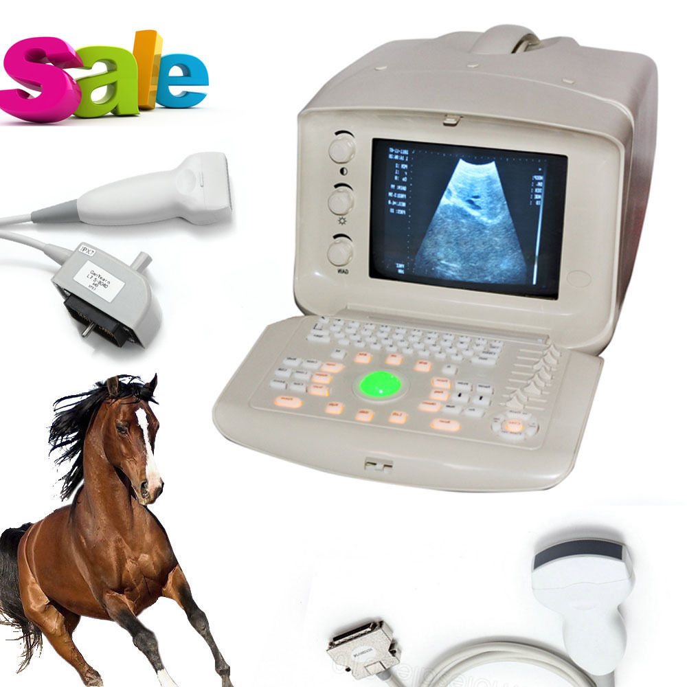 Veterinary Ultrasound Scanner machine Convex +Linear 2 Probes Free 3D Sale DIAGNOSTIC ULTRASOUND MACHINES FOR SALE