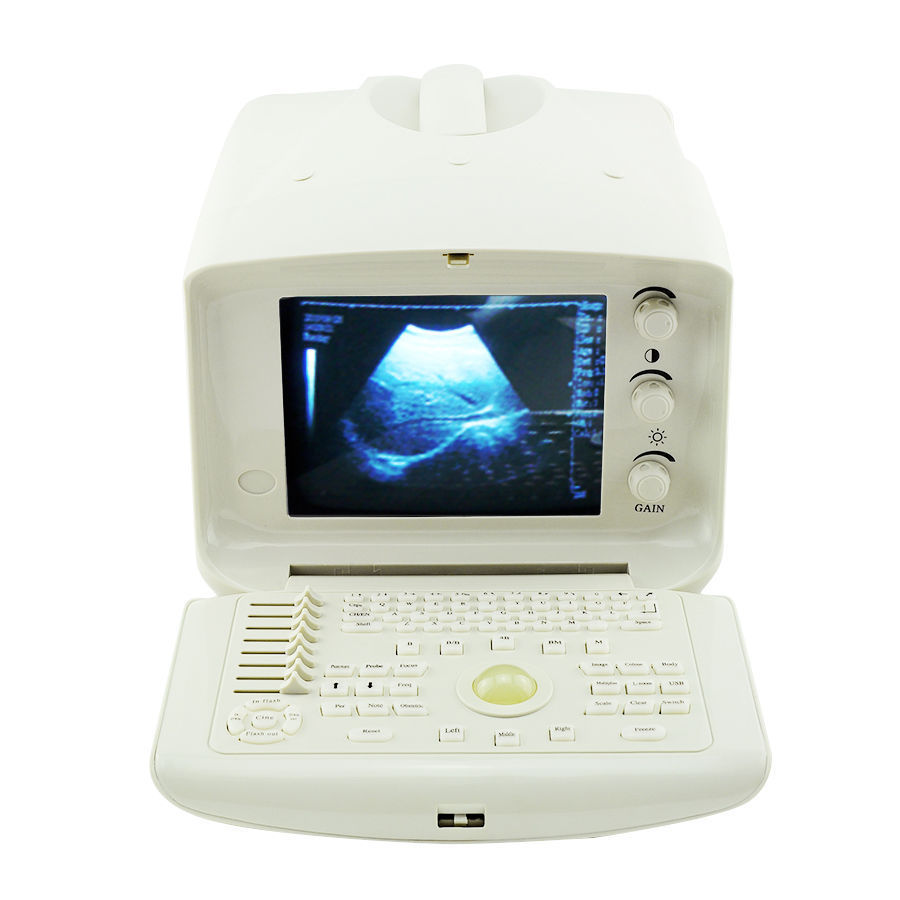 Veterinary Digital Ultrasound Scanner System Rectal Probe External 3D Image CE DIAGNOSTIC ULTRASOUND MACHINES FOR SALE