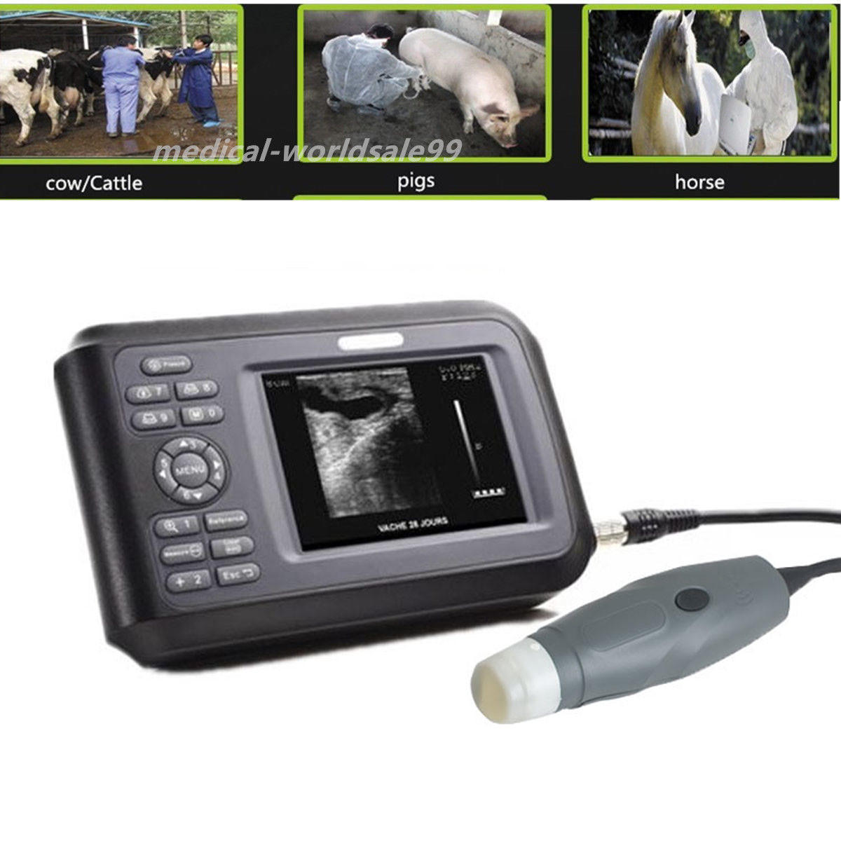 Veterinary Ultrasound Scanner 3.5Mhz Rectal Probe For Pig Dog Pregnancy USPS 190891468284 DIAGNOSTIC ULTRASOUND MACHINES FOR SALE