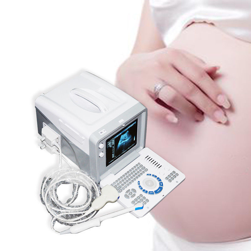 New Digital Ultrasound Scanner Machine +Transvaginal,Convex,Linear 3 Probes + 3D 190891973658 DIAGNOSTIC ULTRASOUND MACHINES FOR SALE