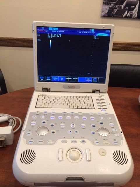 Esaote MyLab Five Portable Ultrasound machine including 2 probes   DIAGNOSTIC ULTRASOUND MACHINES FOR SALE